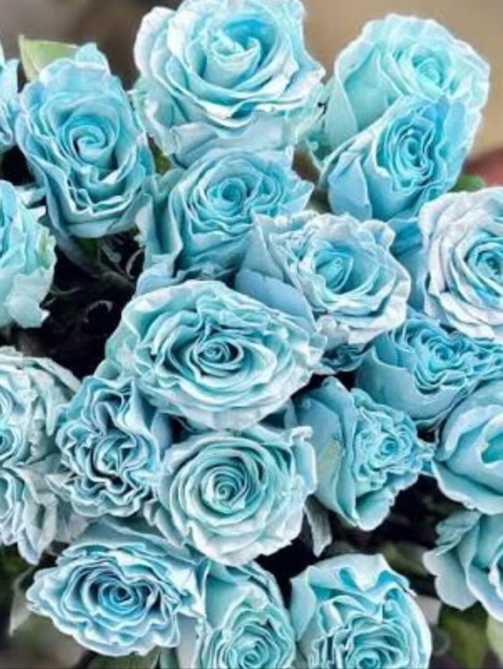 30pc Artificial Roses 🌹🩵🤍